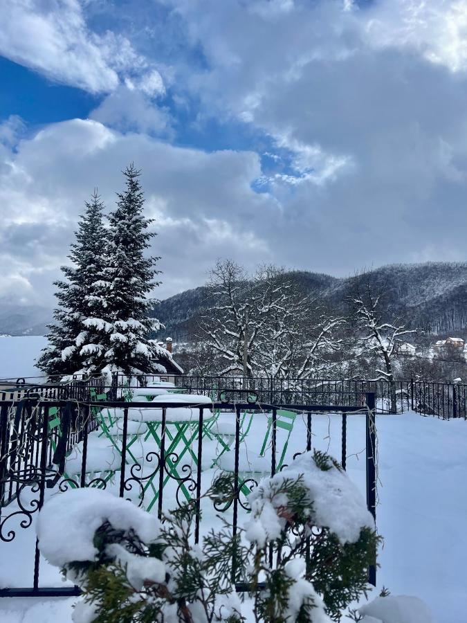 Oana'S Boutique Hotel Bran  Bagian luar foto